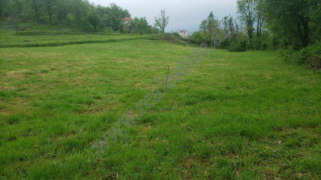 Land for sale near the village of Ibe in Tirana, Albania